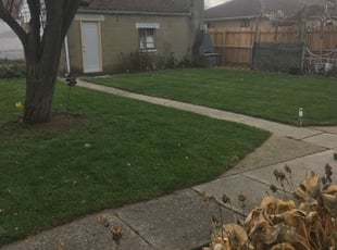 Leaf Removal by Sean Vatter for Aquila R. in Columbus, OH