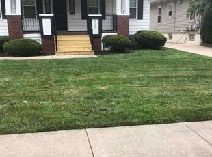 Bush Trimming by Terence Huff for Katrina J. in Cincinnati, OH