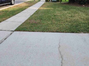 Landscaping by James Williams for JT T. in Ocoee, FL