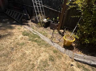 Cleanups by Maria Almendra for Alana S. in Berkeley, CA