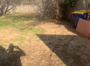 Leaf Removal by Dillon Johnson for Mark C. in Choctaw, OK
