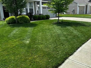 Andres B.'s Lawn Mowing service result