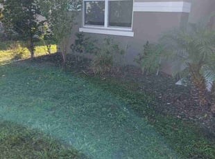 Bush Trimming by Shervey joseph for Mikesha W. in Lakeland, FL