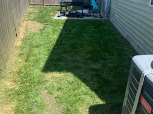 Bush Trimming by Otica Porter for Thelma C. in Chesapeake, VA