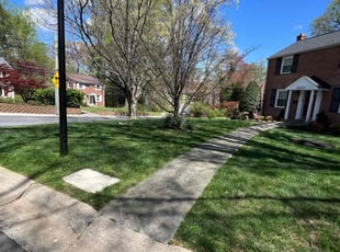 Maria L.'s Lawn Mowing Service service result