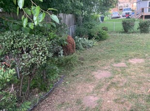 Bush Trimming by Dontez Wesley for Marlene B. in Kansas City, KS