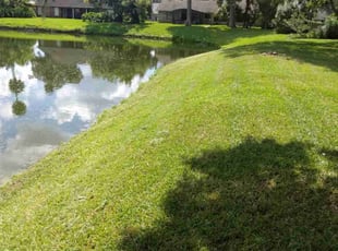 Karen P.'s Lawn Service service result