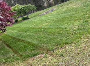 Mark B.'s Lawn Care service result