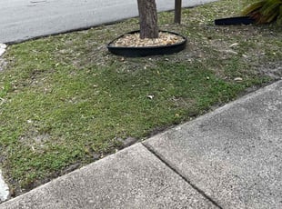 Weeding by Devin Wiggins for Jessica L. in Pompano Beach, FL