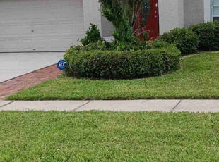 Bush Trimming by Donshae Hannah for Precious K. in Tampa, FL