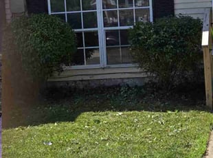 Bush Trimming by Selvy Pineda for Twyla G. in Edgewood, MD