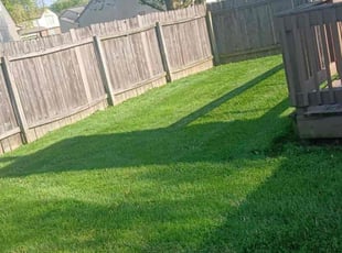 Craig S.'s Lawn Maintenance service result