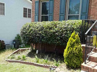 Bush Trimming by Jerry Gross Jr for Max S. in Lilburn, GA