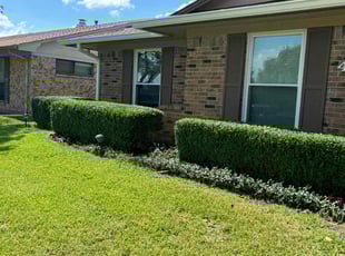 Jennifer H.'s Lawn Service service result