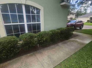 Bush Trimming by Michael Thomas for Cassie P. in Jacksonville, FL