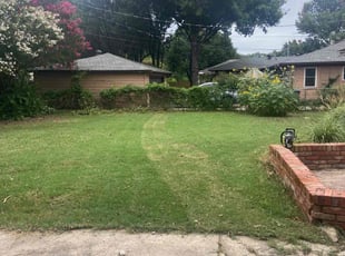 Bush Trimming by conrado munoz for Eric T. in Dallas, TX