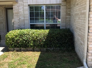 Bush Trimming by Bradley Matthiesen for Tyler Z. in San Antonio, TX