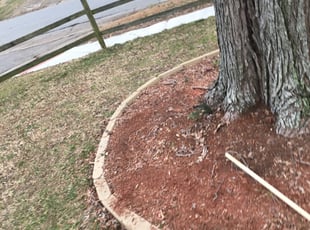 Cleanups by Kasimir Harris for Brittany T. in Norfolk, VA