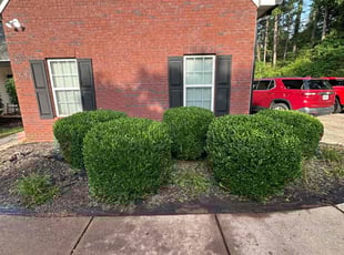 Bush Trimming by Jeremy Lane for Ricky P. in Griffin, GA