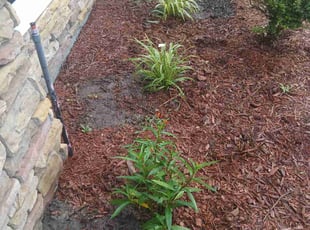 Landscaping by Jean Claude Zephirin for Joe T. in Jacksonville, FL