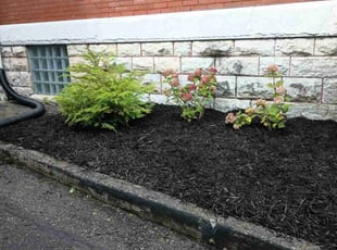 Mulching by Caleb Patton for Meredith T. in Cincinnati, OH