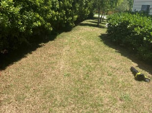 Cleanups by Alize Rivers for Chrysoula P. in Mount Pleasant, SC