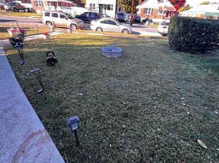 Mary H.'s Lawn Care service result