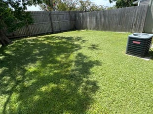 Elizabeth S.'s Lawn Care service result