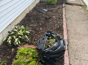Weeding by Valquez Russell for HEATHER J. in Columbus, OH
