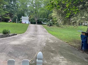 Togu L.'s Lawn Mowing service result