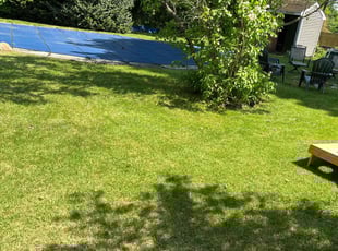 Michael S.'s Lawn Care service result