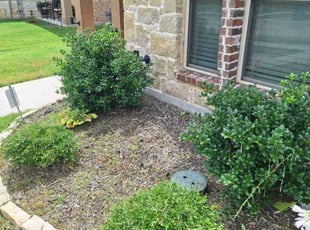 Weeding by Furman Dodd for Dwight P. in DeSoto, TX