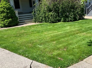 Leaf Removal by Michael Kilton for Terri C. in Cleveland, OH