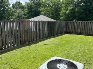 Shelia M.'s Lawn Mowing service result