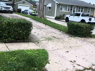 Bush Trimming by Lamonee Jackman for Marvilyn S. in Omaha, NE
