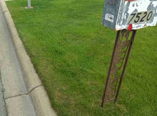 Chris C.'s Lawn Service service result
