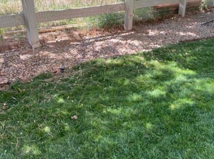 Cleanups by Aaron Fresquez for Victoria M. in Littleton, CO