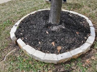 Cleanups by Heath Cook for Debra P. in Mansfield, TX