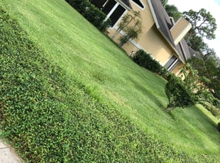 Tee D.'s Lawn Service service result