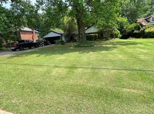 Bush Trimming by Matthew Veal for Morgan Q. in Lilburn, GA