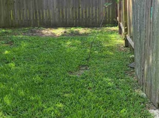 Leaf Removal by Robert Sturdy III for Albert C. in Houston, TX