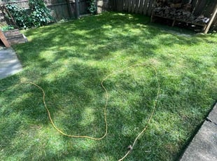 Joaquin J.'s Lawn Care service result