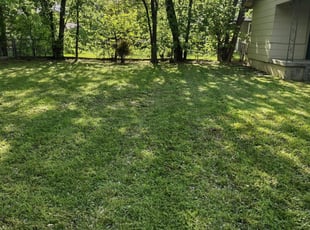 Cleanups by Emma Perales for Jennifer T. in Haltom City, TX