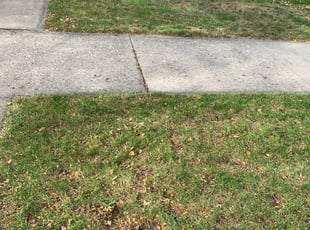 Cleanups by Kelvin Dertz for Joshua K. in Milwaukee, WI