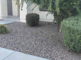 Bush Trimming by Andrew Hoodzow for Amanda B. in Mesa, AZ