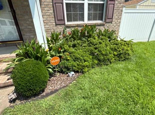 Weeding by Marcus Baker for Jesenia C. in Chesapeake, VA