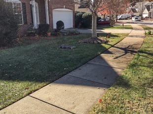 Leaf Removal by Michael Cherry for Paige M. in Charlotte, NC