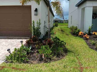 Nikitah I.'s Lawn Maintenance service result