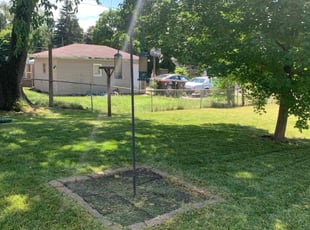 Michael B.'s Lawn Service service result