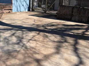 Leaf Removal by Reginaldo Perez for Dana R. in Austin, TX